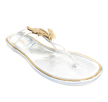 Load image into Gallery viewer, JELLY FLAT WOMEN FLIP FLOP SANDALS Ann More San Diego
